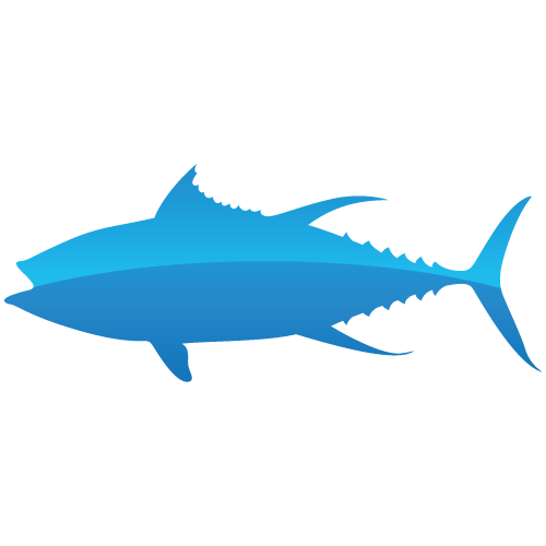 Adelaide Fishing Charters Prices & Packages Snapper Fishing Charter